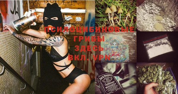 прущая мука Алзамай