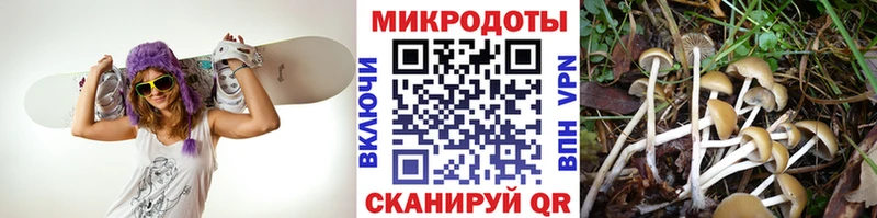 Псилоцибиновые грибы MAGIC MUSHROOMS  Коряжма 